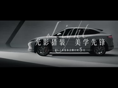 Song L EV 662 km eccellente modello 5 porte 5 posti SUV