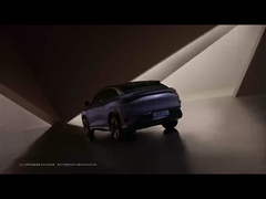 Sea Lion 07 EV 2024 550 quattro ruote motrici Smart air versione 5 porte 5 posti SUV