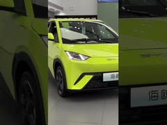 Byd Seagull verde fluorescente
