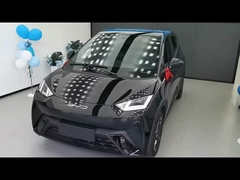 2025 305km Freedom Edition BYD Nuova Energia Veicolo elettrico Gabbiano 4 posti