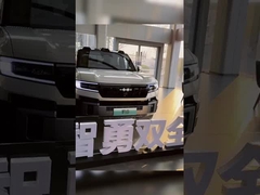 Equazione Leopardo 8